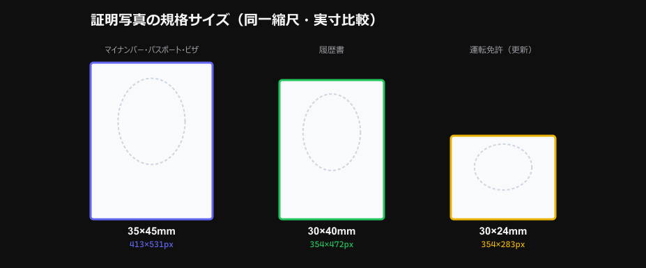証明写真の規格サイズを同一縮尺で比較した図。35×45mm（マイナンバー・パスポート・ビザ）、30×40mm（履歴書）、30×24mm（運転免許・横長）